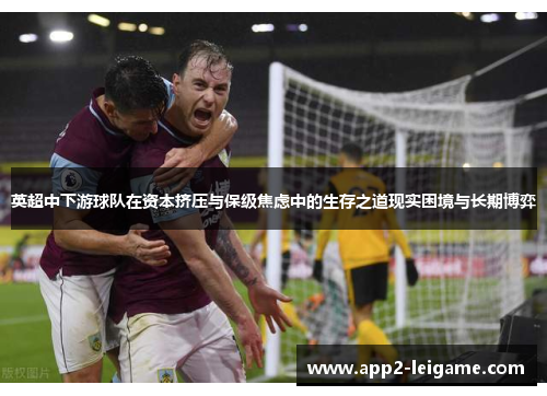 英超中下游球队在资本挤压与保级焦虑中的生存之道现实困境与长期博弈
