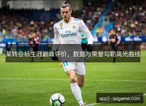 某转会标生涯巅峰评价，数据与荣誉勾勒高光曲线